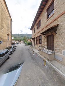 Immagine Tosi Francesca 2