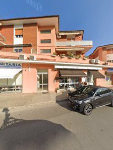 Immagine Kyria Ancona 1