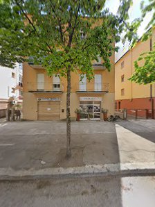 Immagine Evolution 5