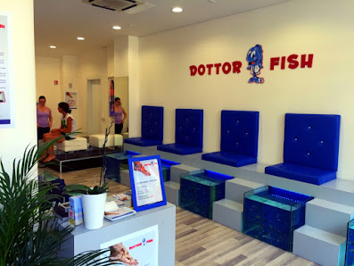 Immagine Dottor Fish Riccione 1