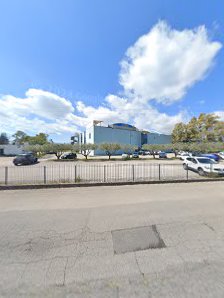 Immagine Mis Spettino Palafitness 2