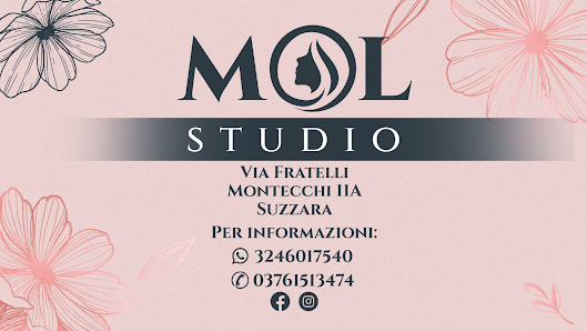 Immagine STUDIO MOL 1