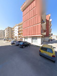 Immagine Petali di Rosa 3