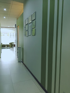 Immagine Mo.Vida Beauty and Soul 2