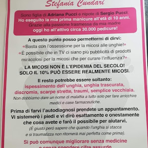 Immagine Stefania Cundari 2