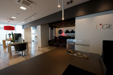 Immagine Ligè Holistic Concept - Foligno 2