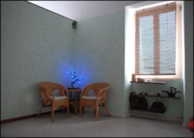 Immagine La Fenice Spa 2