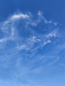 Immagine Denise Skin and Body Studio 1