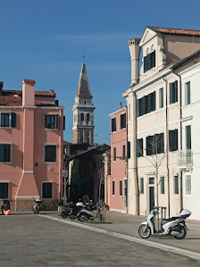 Immagine Pavis Gabriella 1