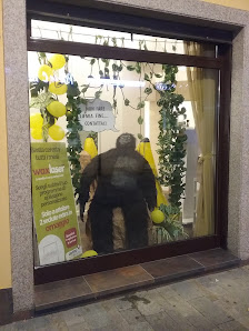 Immagine Lelii Daniela 1