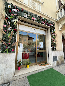 Immagine Anna Zito Lash 2