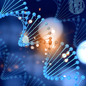 Immagine Dea - Dimagrimento e Alimentazione 1