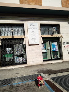 Immagine Ist. Estetica Lina Di Annalaura De Ambrosiis 2