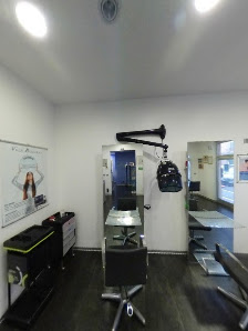 Immagine Alchimia Snc di Benghi Katia e C. 3