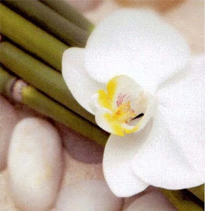 Immagine Immagine Lei e Lui 2