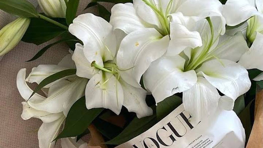 Immagine Kf Body Design Di Furrer Katia 1