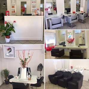 Immagine Tocco Magico Spazio Hair&Body 5