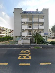 Immagine Larch Christina 1