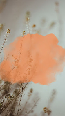 Immagine Centro Estetico La Perla Di Censi Daniela 1