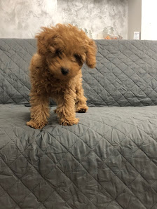 Immagine Centro Bellezza Mirarchi Maria Rosa 1