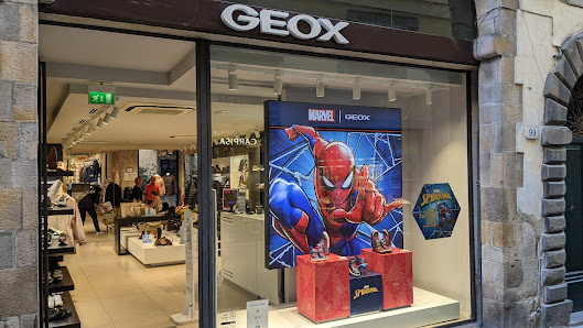 Immagine Geko Lucca estetica & epilazione laser 2