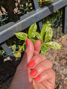 Immagine Centro Estetico Petali Di Bellezza 2