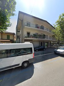 Immagine Evergreen 2