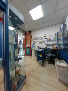 Immagine Regno Del Sole 4