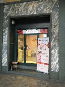 Immagine LADYBUG - BIELLA 2