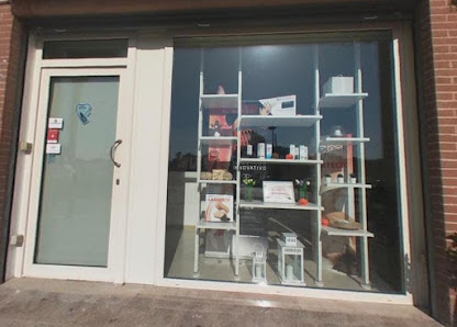 Immagine Metamorfosi 2