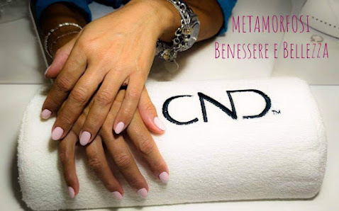 Immagine Metamorfosi 3