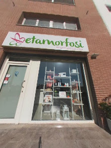 Immagine Metamorfosi 5