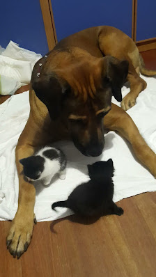 Immagine Istituto Bios Estetica E Benessere 3