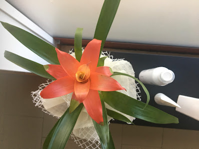 Immagine beauty life 1