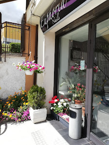 Immagine Euphoria centro estetico Di Spinelli Ramona 2