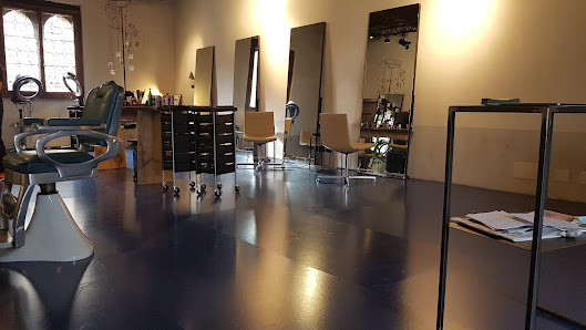 Immagine 11 Treviso 1