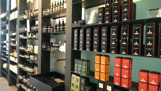 Immagine 11 Treviso 2