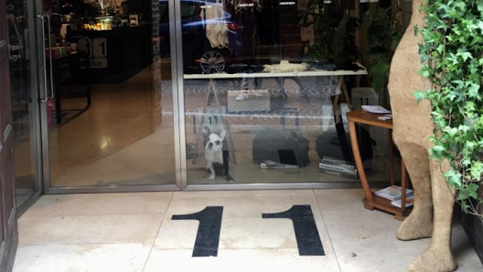 Immagine 11 Treviso 3