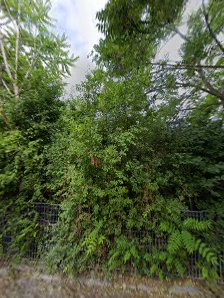 Immagine Estetica Miki Di Michela Martini 2