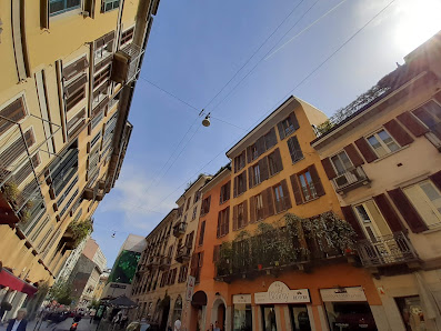 Immagine Wild Beauty Milano 1