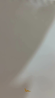 Immagine Armonia e Benessere Terracina 3