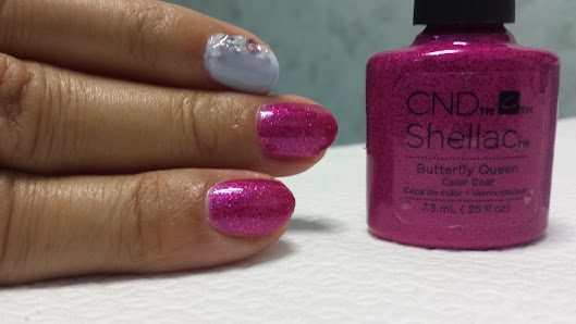 Immagine Estetica Kalos 3