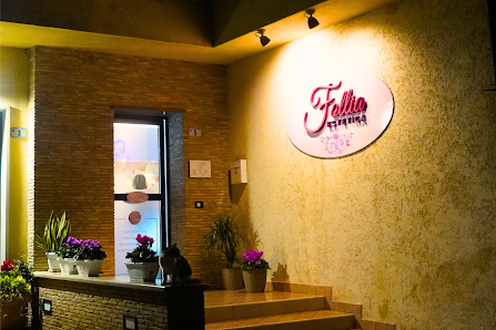 Immagine Follia Estetica 1