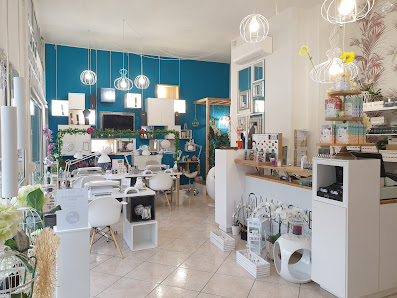 Immagine Fabio Billoni 3