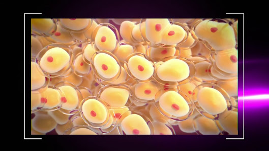 Immagine Centro Estetico Esteticamente 3