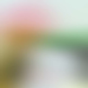 Immagine L'Immagine di Letizia Rocchi Pontedera 3