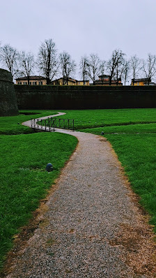 Immagine Margot by Silvia Paolini 3