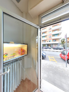 Immagine Centro Estetico Serenella Di Dellabella Serenella 1