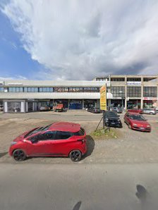 Immagine Marydue Di Losa Mara 1