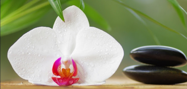 Immagine Centro Estetico Il Tempio del Corpo Uomo&Donna 3